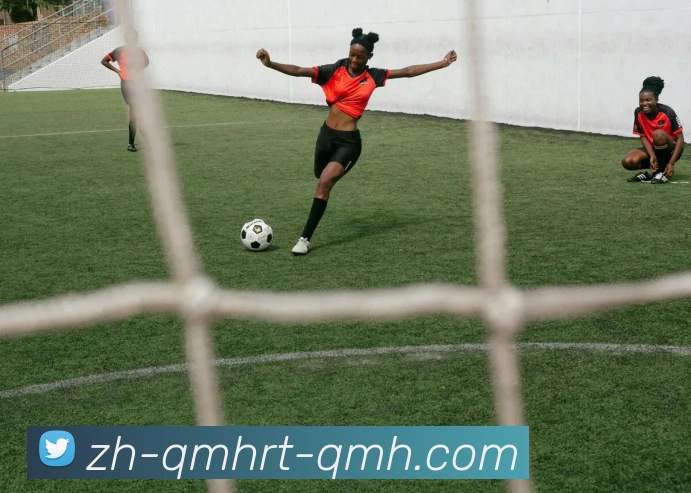 球盟会发展历程